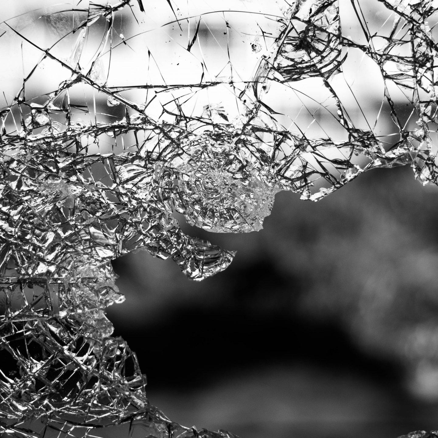 Episode 004: Insurance